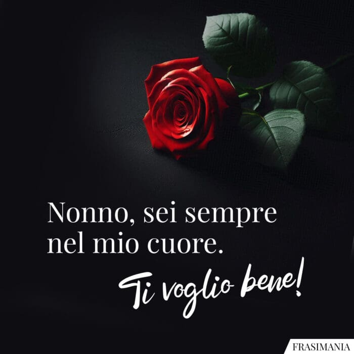 Nonno, sei sempre nel mio cuore. Ti voglio bene!