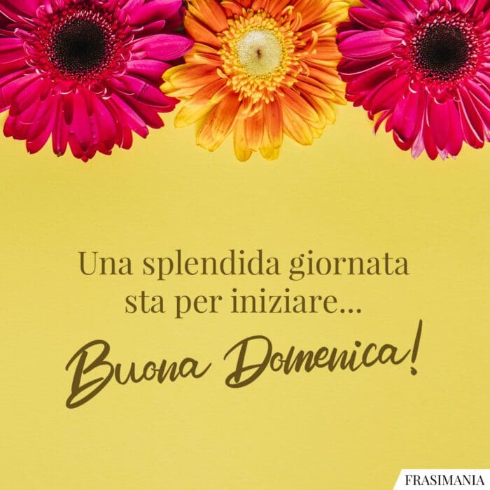 Buongiorno domenica iniziare