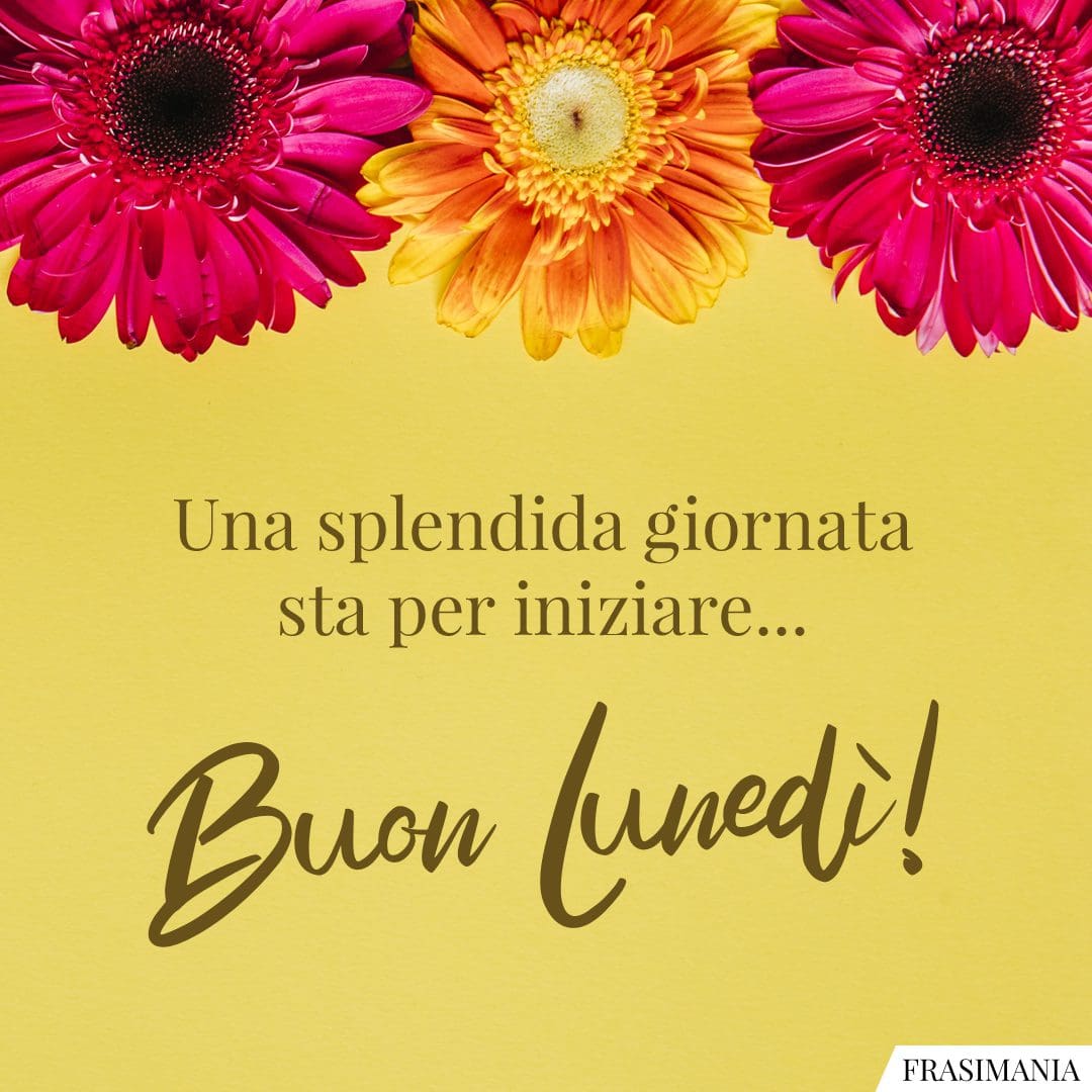 Una splendida giornata sta per iniziare... Buon Lunedì!