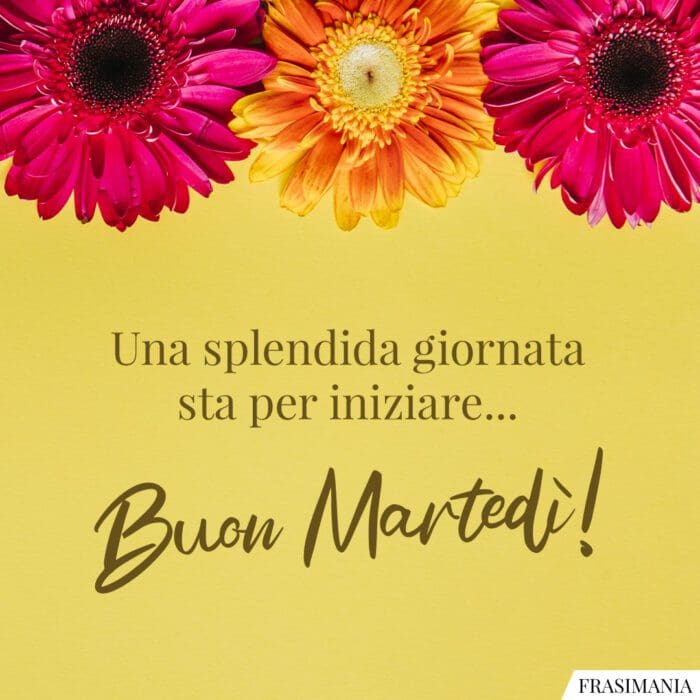 Una splendida giornata sta per iniziare... Buon Martedì!