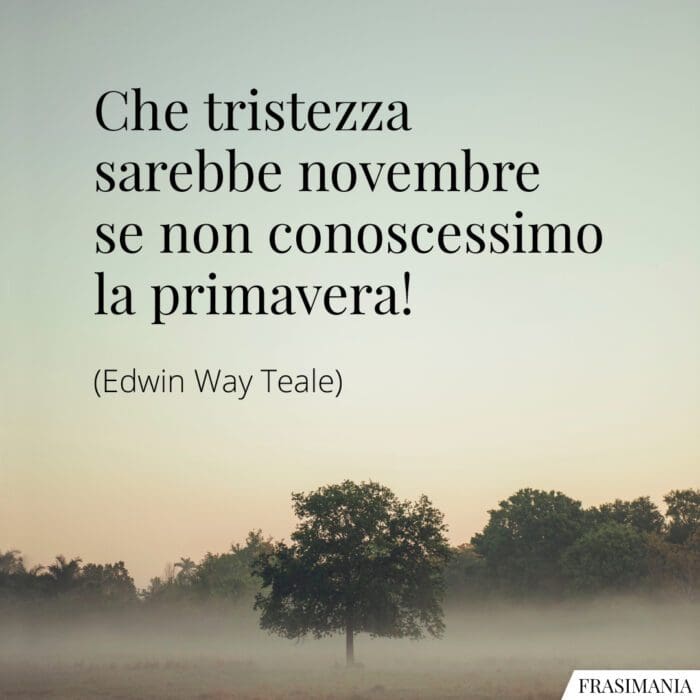 Che tristezza sarebbe novembre se non conoscessimo la primavera!
