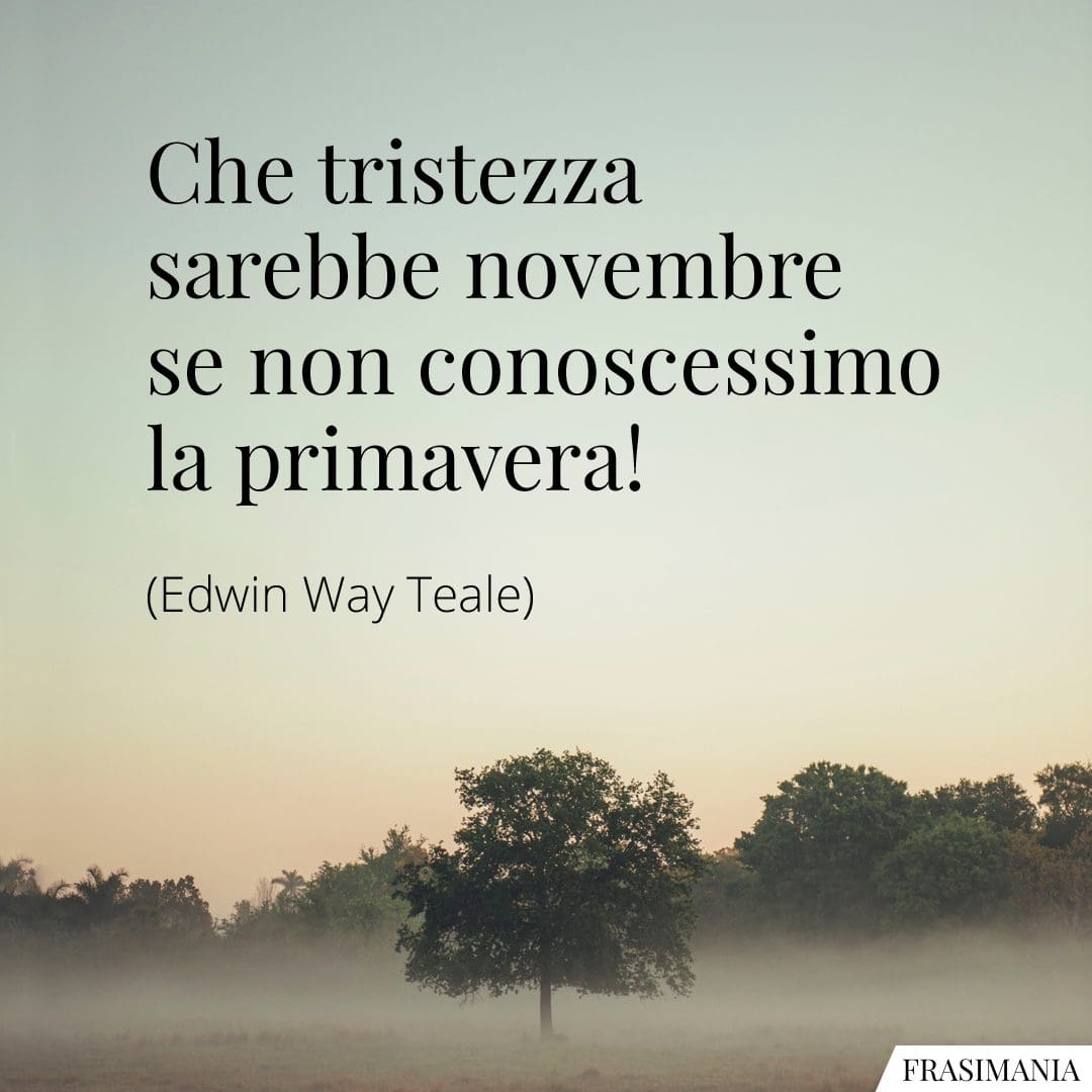 Che tristezza sarebbe novembre se non conoscessimo la primavera!