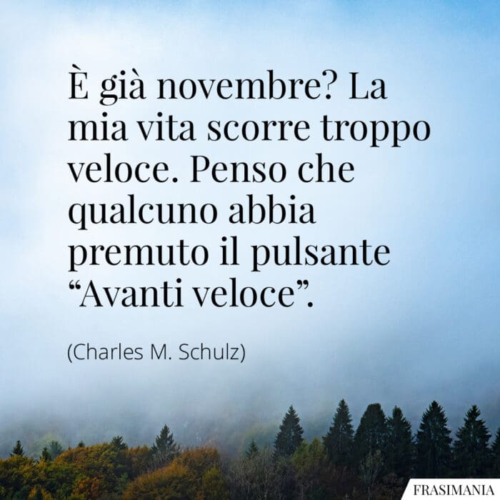 Frasi novembre vita Schulz