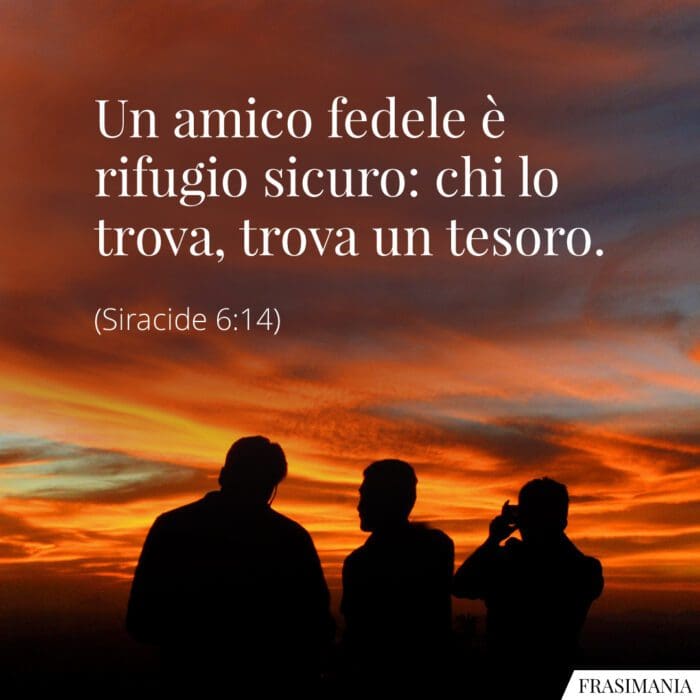 Un amico fedele è rifugio sicuro: chi lo trova, trova un tesoro.