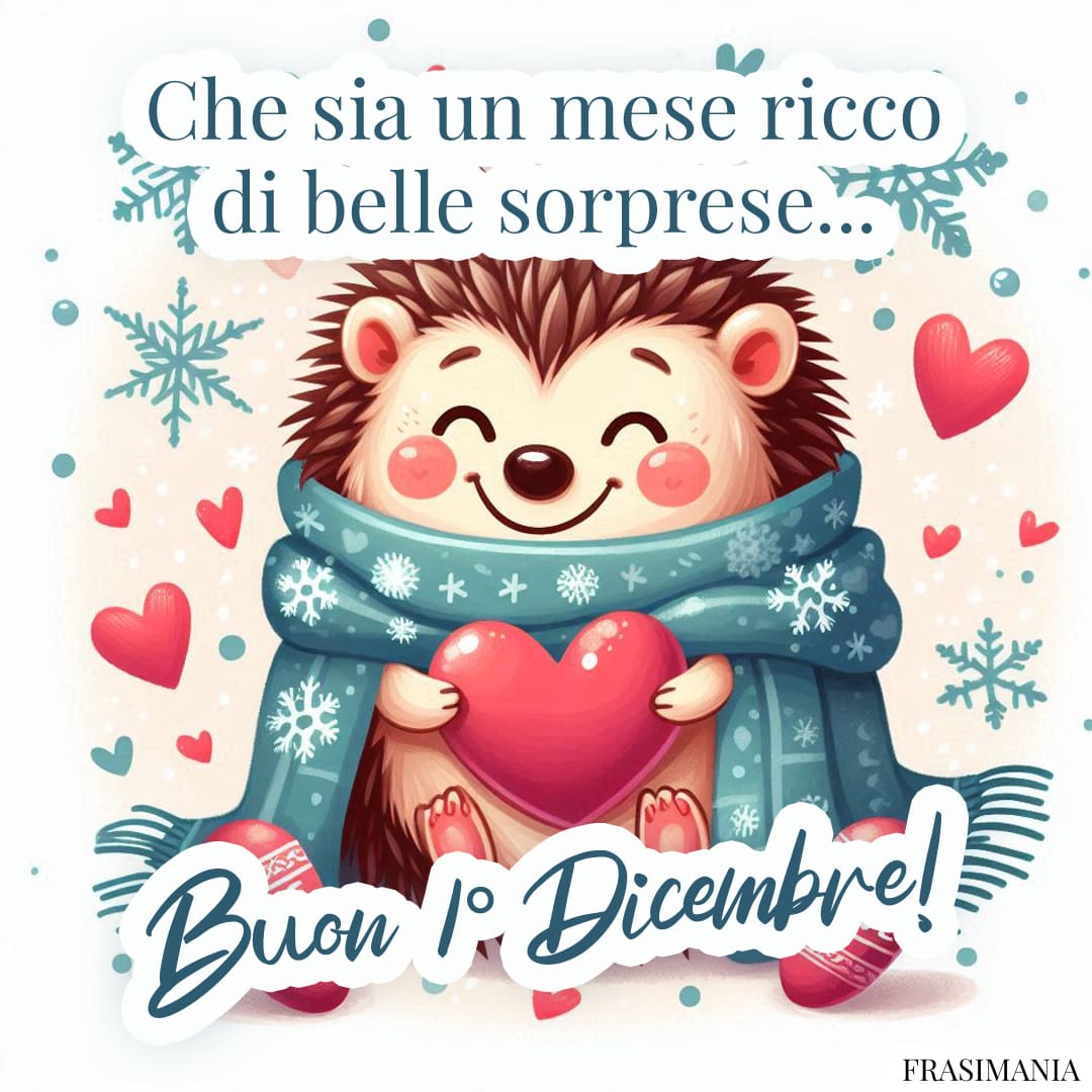 Che sia un mese ricco di belle sorprese... Buon 1° Dicembre!