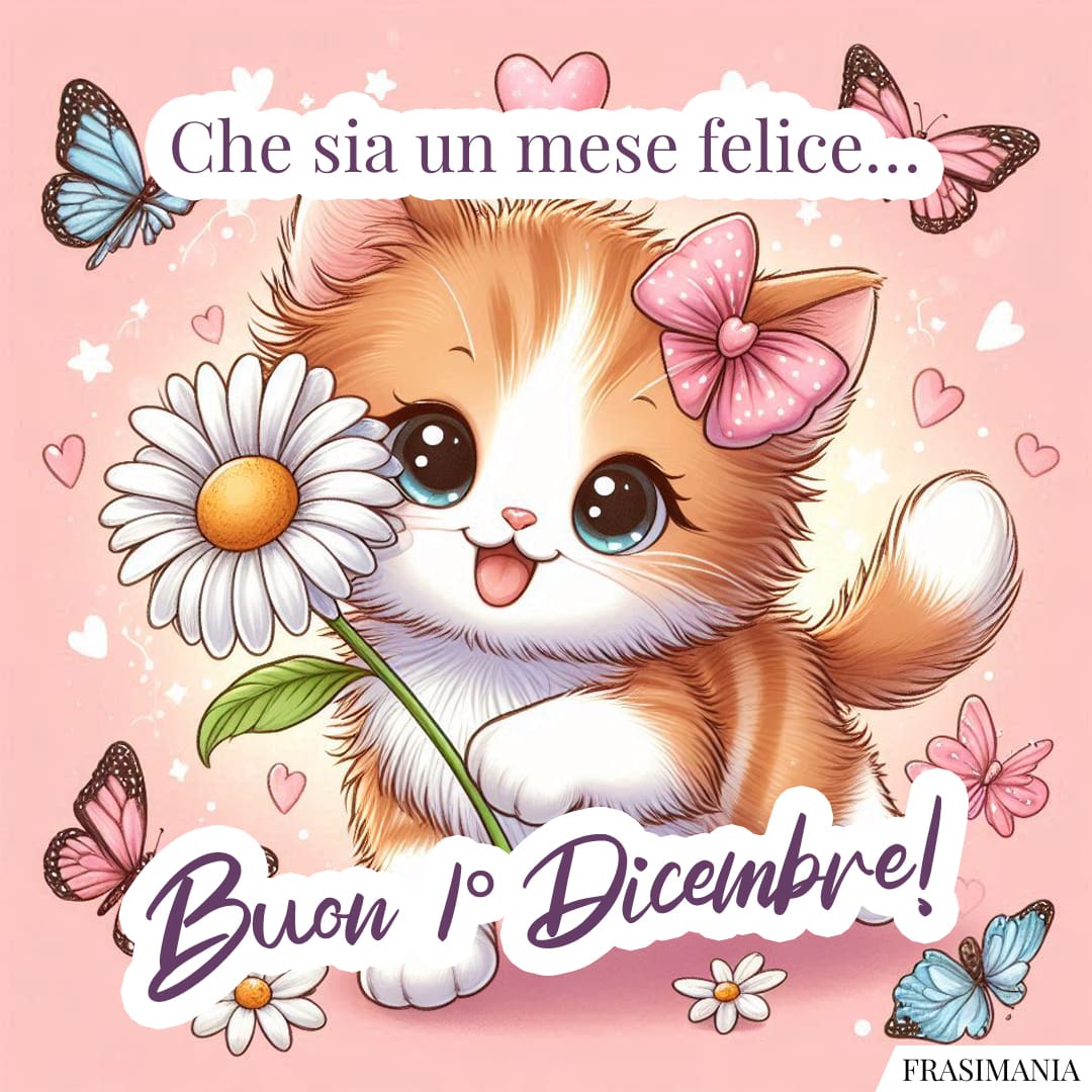Che sia un mese felice... Buon 1° Dicembre!