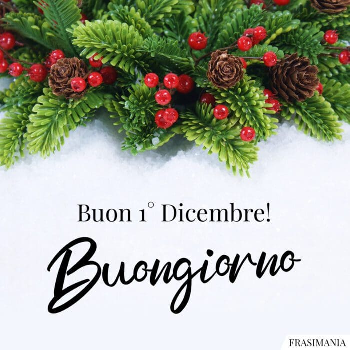 Buongiorno buon 1 dicembre