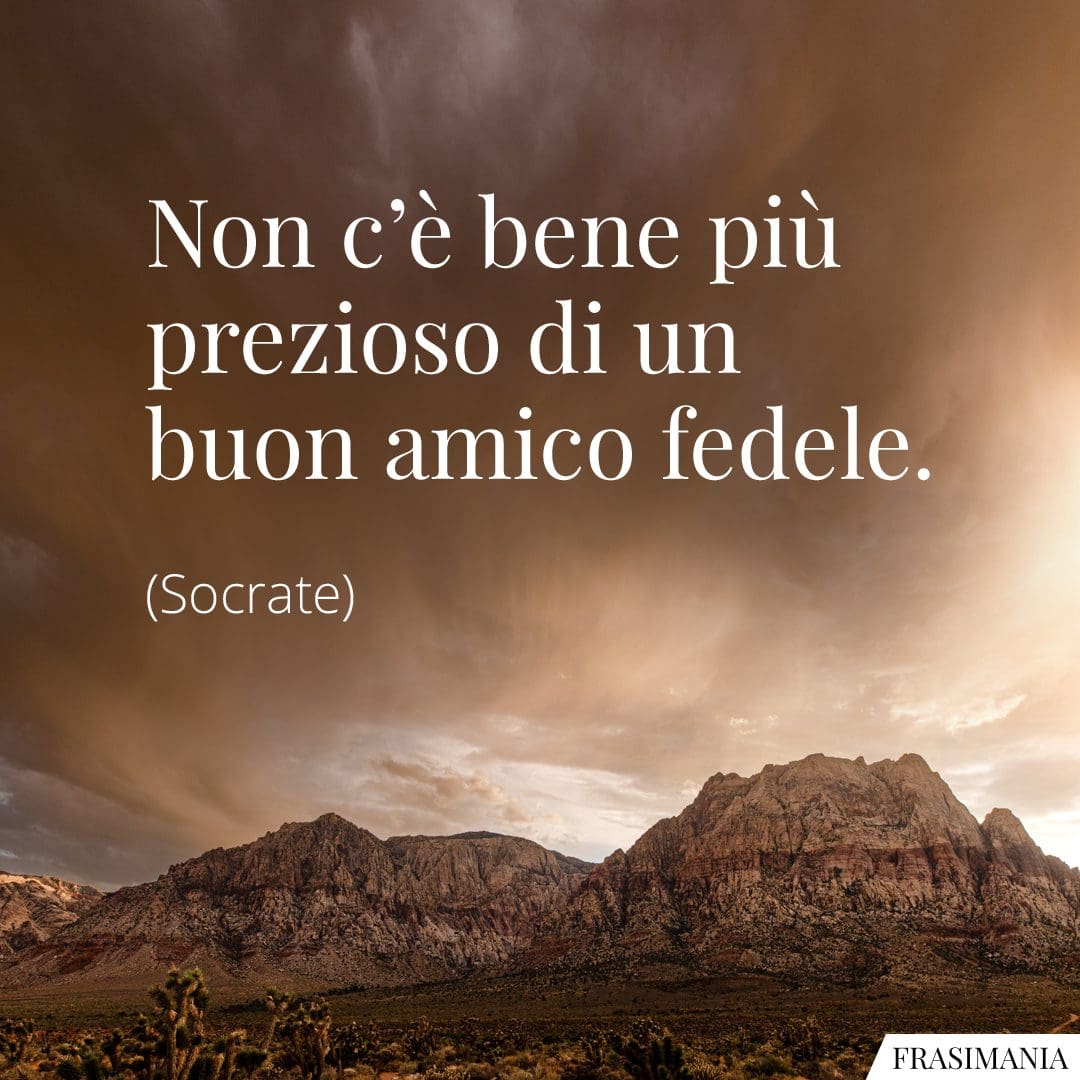 Non c'è bene più prezioso di un buon amico fedele.