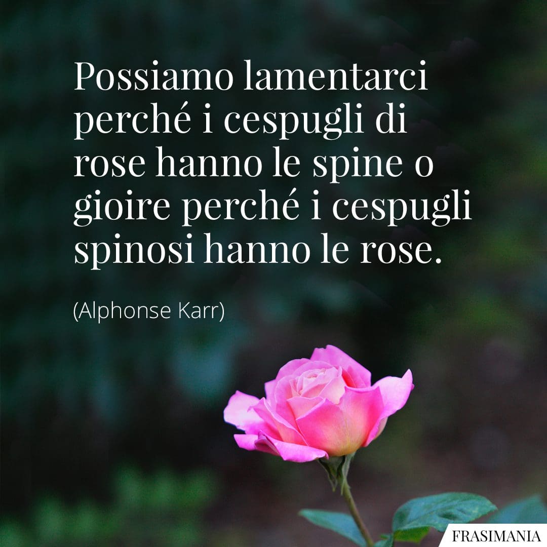 Possiamo lamentarci perché i cespugli di rose hanno le spine o gioire perché i cespugli spinosi hanno le rose.