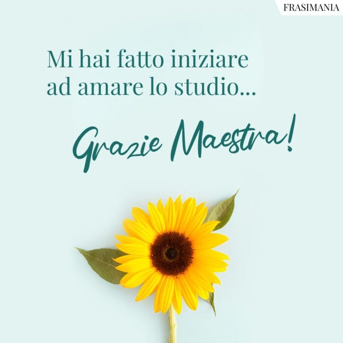 Mi hai fatto iniziare ad amare lo studio… Grazie Maestra!