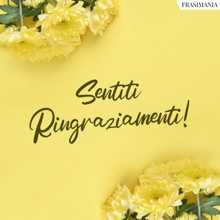 Sentiti Ringraziamenti!