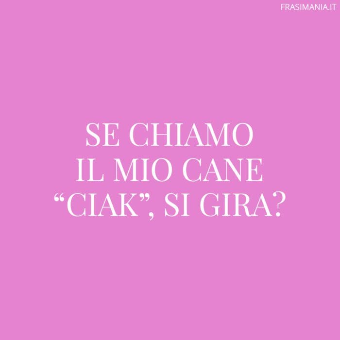 Se chiamo il mio cane 
