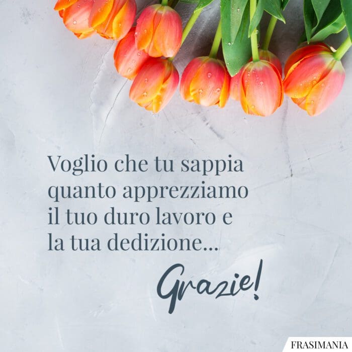 Voglio che tu sappia quanto apprezziamo il tuo duro lavoro e la tua dedizione... Grazie!