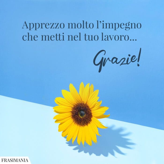 Apprezzo molto l’impegno che metti nel tuo lavoro… Grazie!