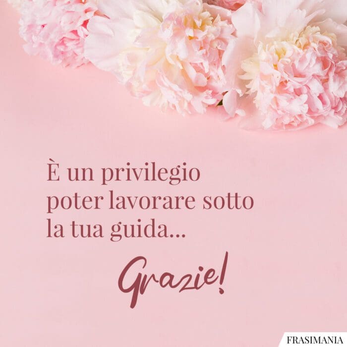 È un privilegio poter lavorare sotto la tua guida… Grazie!