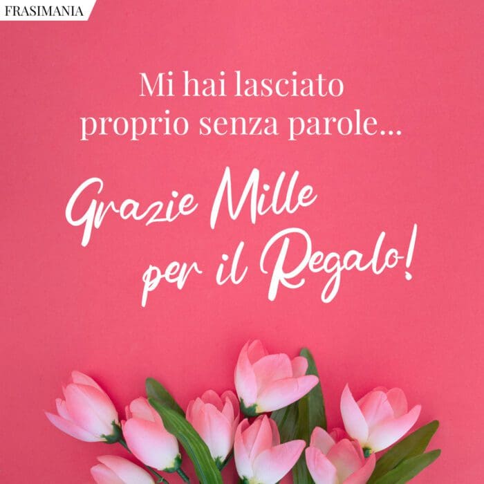 Mi hai lasciato proprio senza parole… Grazie per il Regalo!
