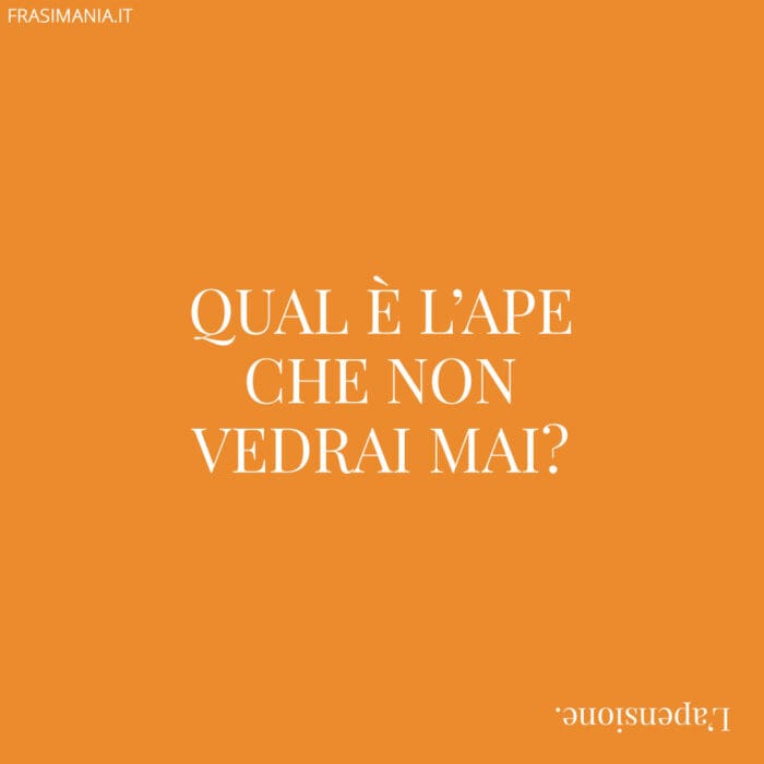 Qual è l’ape che non vedrai mai?