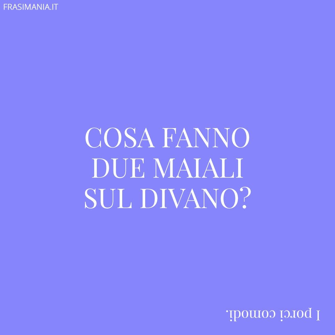 Cosa fanno due maiali sul divano?