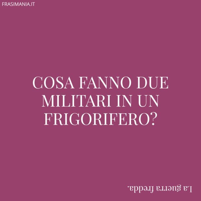 Cosa fanno due militari in un frigorifero?