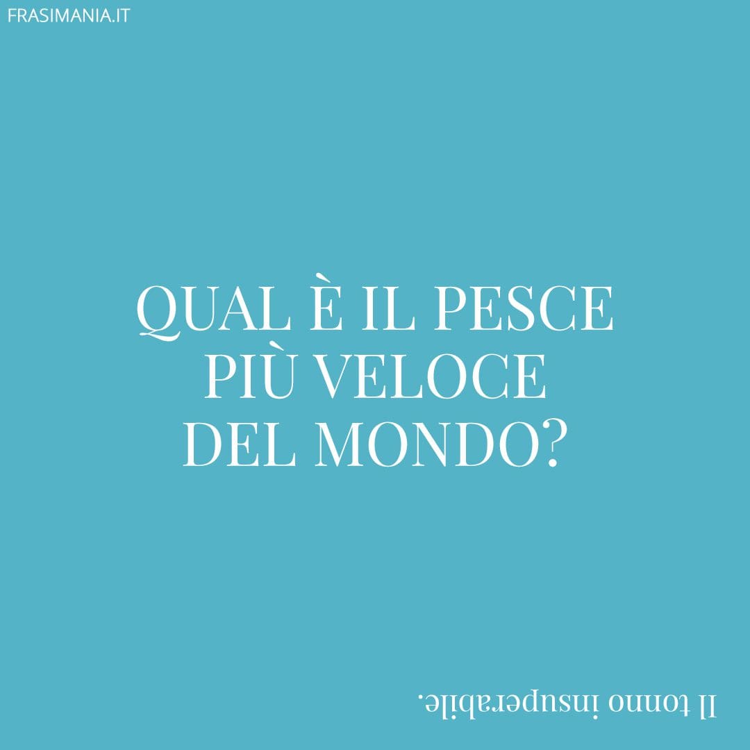 Qual è il pesce più veloce del mondo?