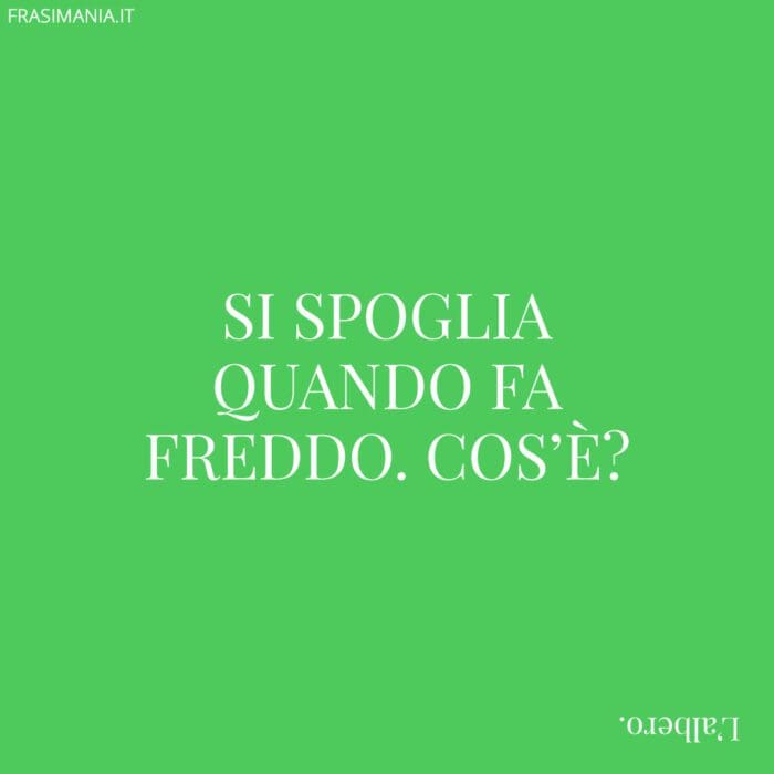 Si spoglia quando fa freddo. Cos’è?