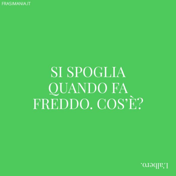 Si spoglia quando fa freddo. Cos'è?