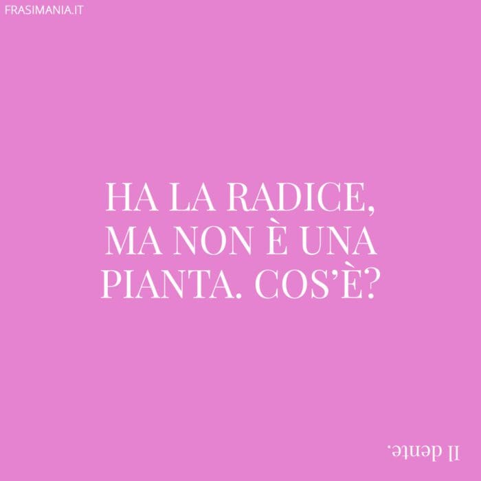 Ha la radice, ma non è una pianta. Cos’è?