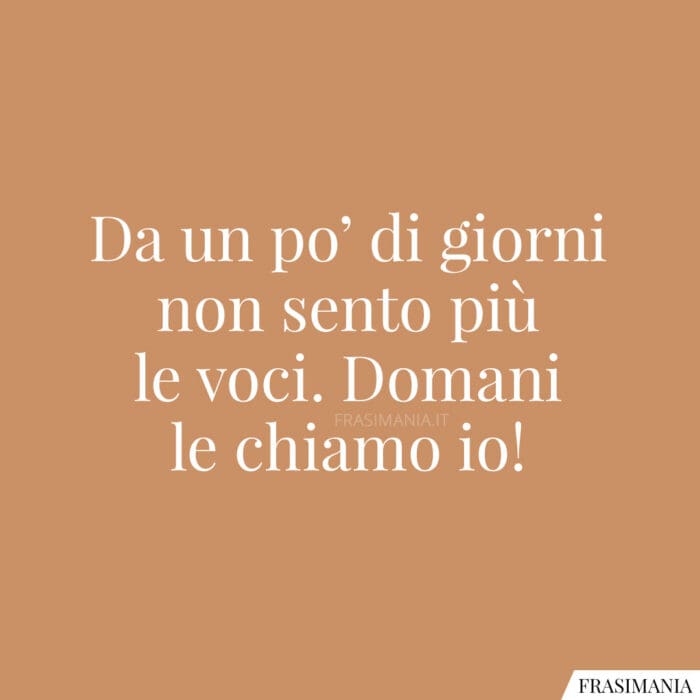 Da un po’ di giorni non sento più le voci. Domani le chiamo io!