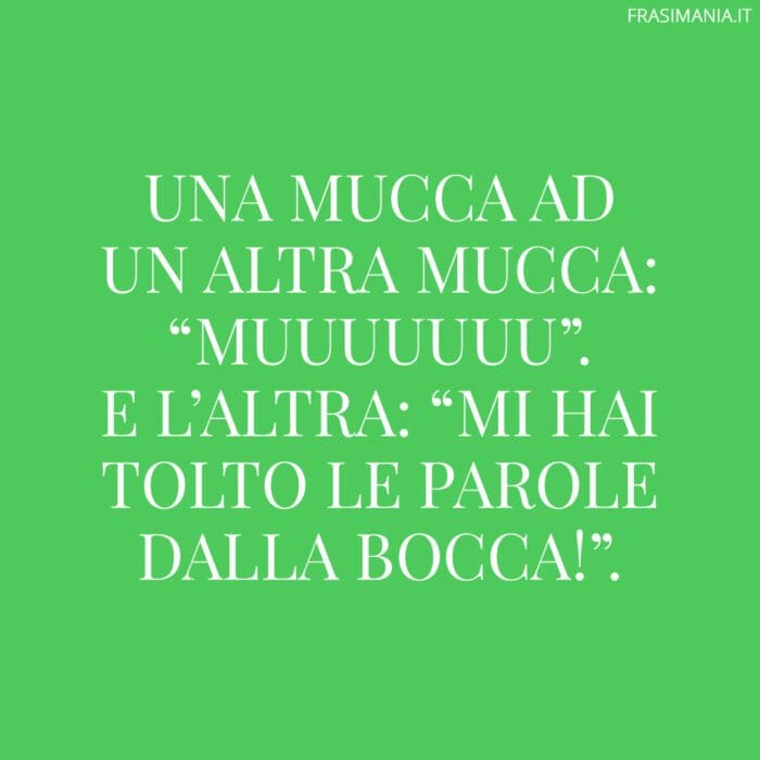 Una mucca ad un altra mucca: 