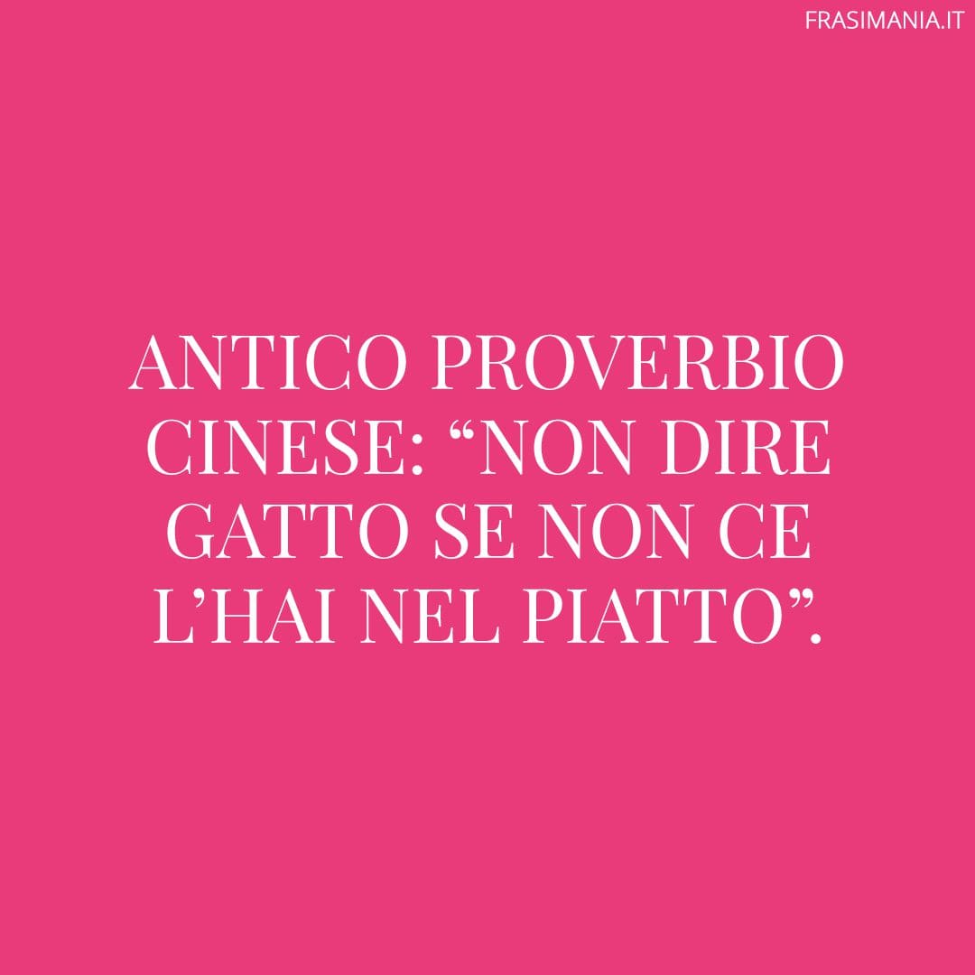 Antico proverbio cinese: "Non dire gatto se non ce l'hai nel piatto".