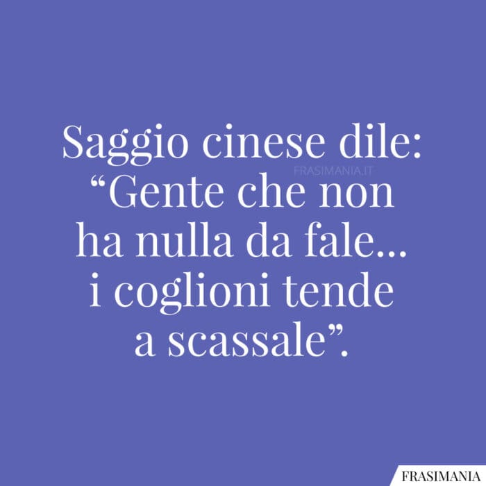 Saggio cinese dile: “Gente che non ha nulla da fale… i coglioni tende a scassale”.