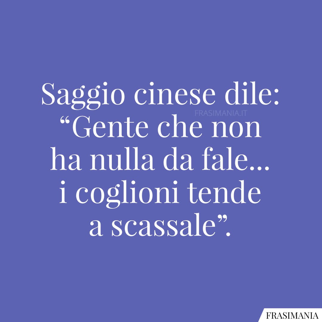 Saggio cinese dile: "Gente che non ha nulla da fale... i coglioni tende a scassale".
