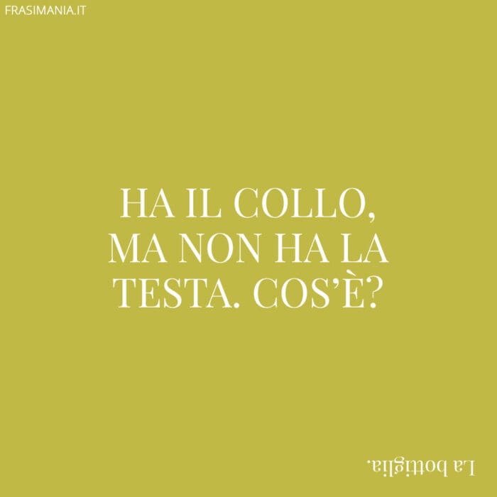 Ha il collo, ma non ha la testa. Cos'è?