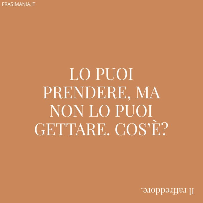 Lo puoi prendere, ma non lo puoi gettare. Cos'è?