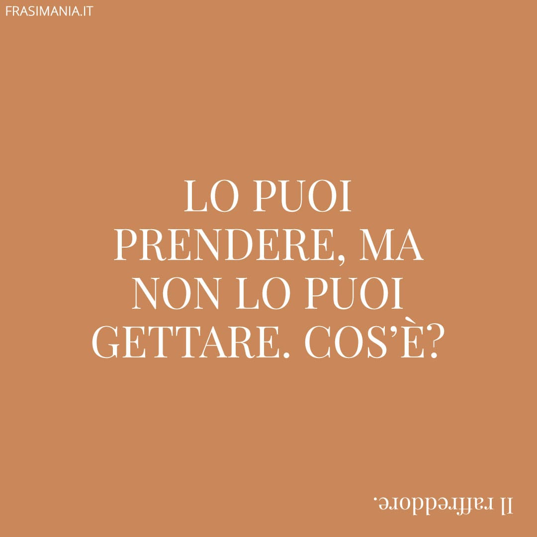 Lo puoi prendere, ma non lo puoi gettare. Cos'è?