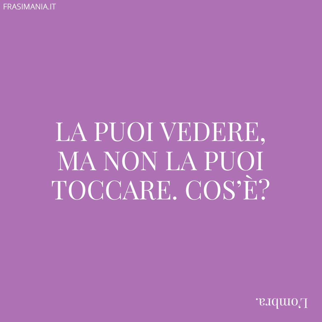 La puoi vedere, ma non la puoi toccare. Cos’è?