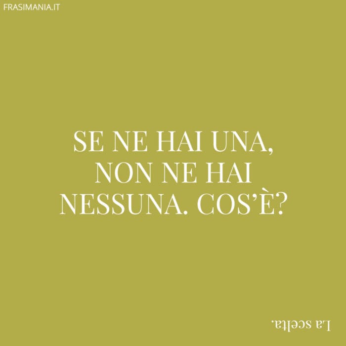 Se ne hai una, non ne hai nessuna. Cos'è?