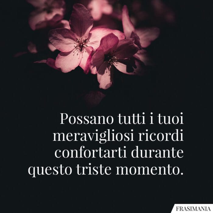 Possano tutti i tuoi meravigliosi ricordi confortarti durante questo triste momento.
