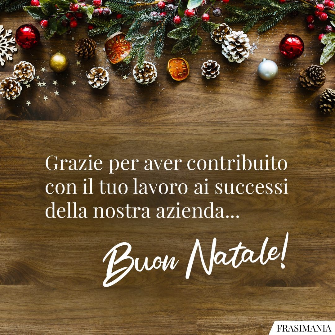 Grazie per aver contribuito con il tuo lavoro ai successi della nostra azienda... Buon Natale!