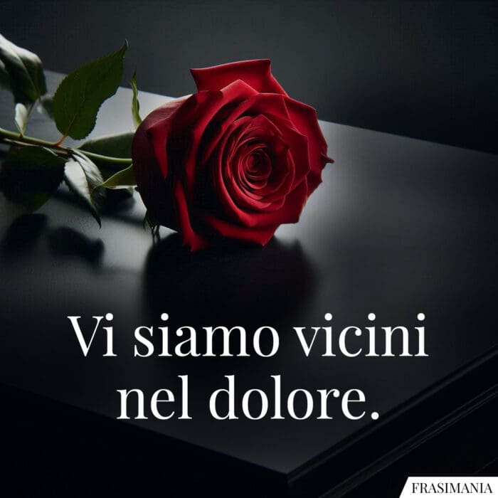 Vi siamo vicini nel dolore.