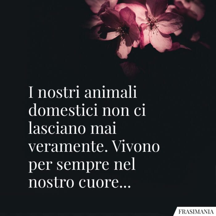 Frasi condoglianze animale domestico cuore