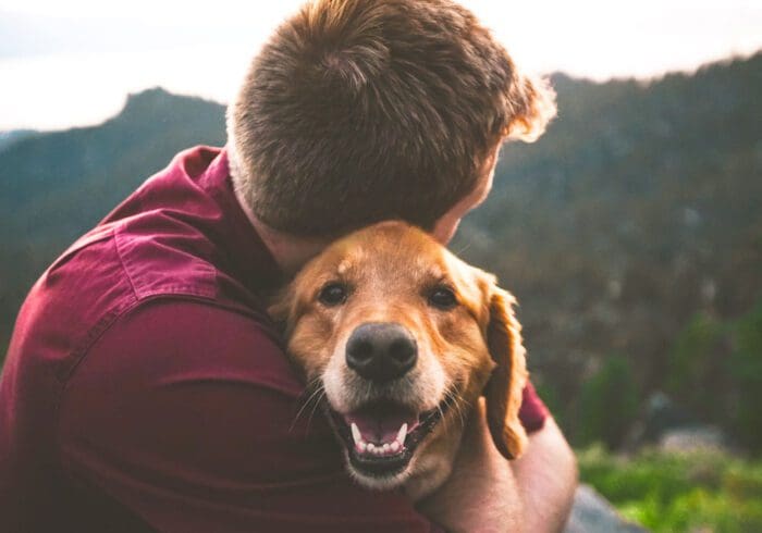 Frasi di Condoglianze per quando muore un Cane