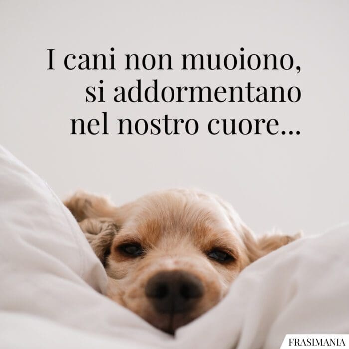 I cani non muoiono, si addormentano nel nostro cuore...