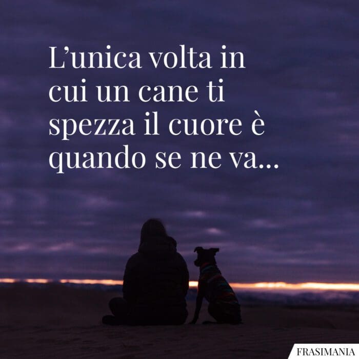 L'unica volta in cui un cane ti spezza il cuore è quando se ne va...