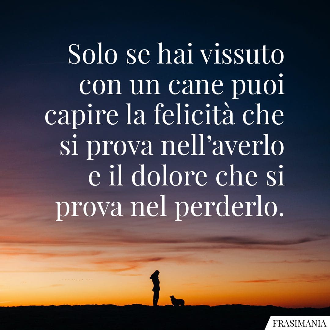 Solo se hai vissuto con un cane puoi capire la felicità che si prova nell'averlo e il dolore che si prova nel perderlo.