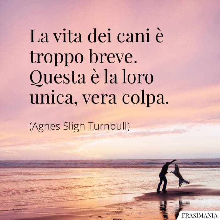 Frasi vita cani breve Turnbull