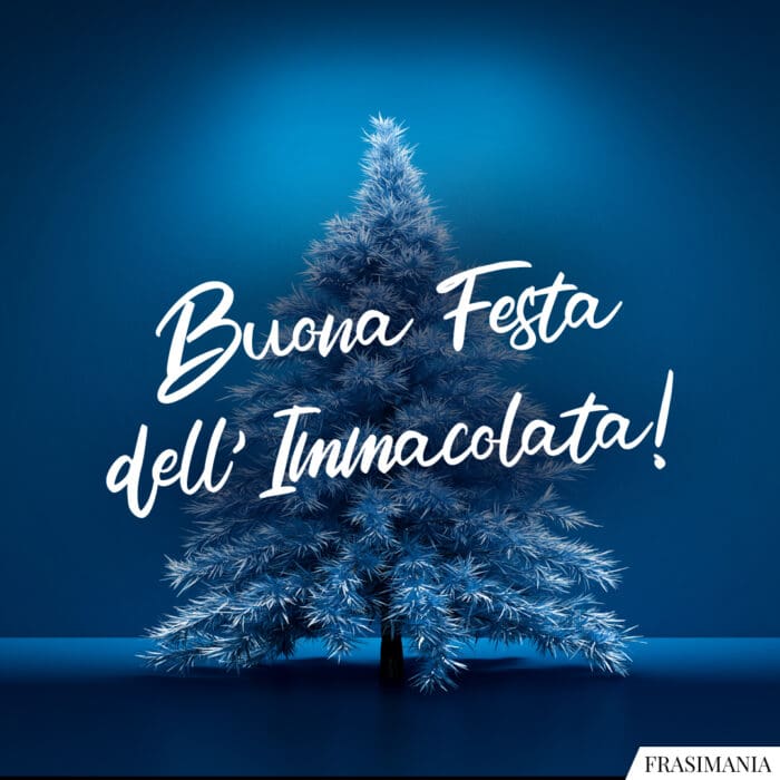 Buona festa Immacolata auguri