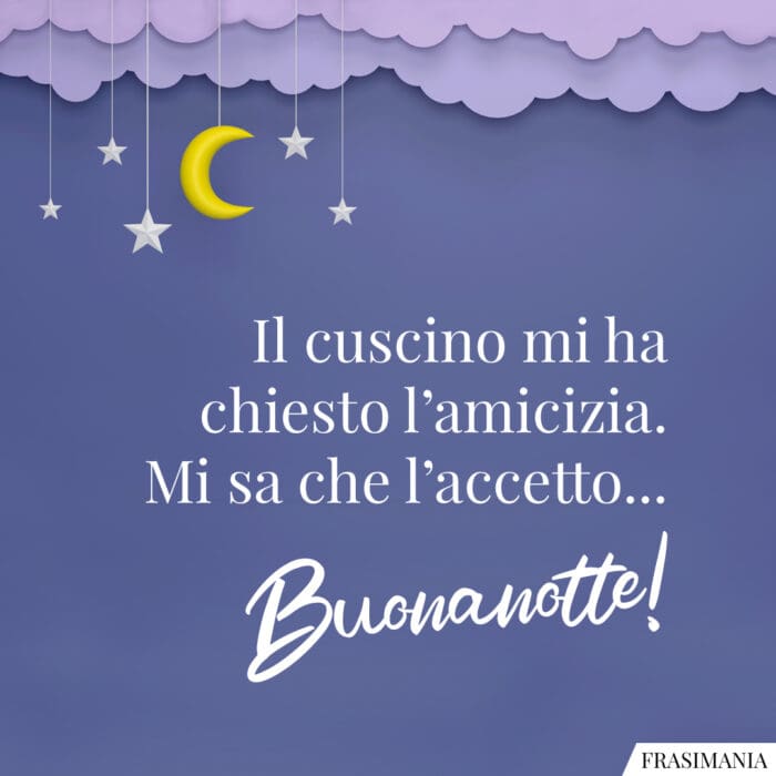 Il cuscino mi ha chiesto l’amicizia. Mi sa che l’accetto… Buonanotte!