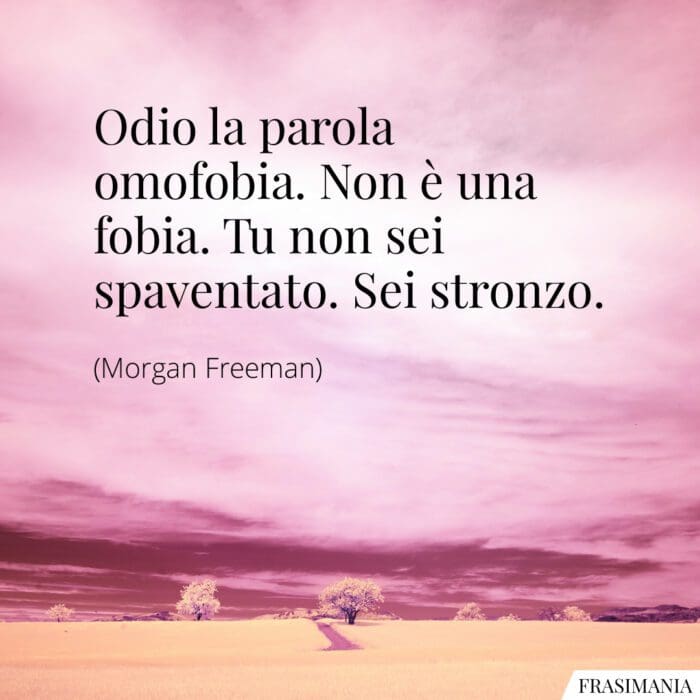 Odio la parola omofobia. Non è una fobia. Tu non sei spaventato. Sei stronzo.