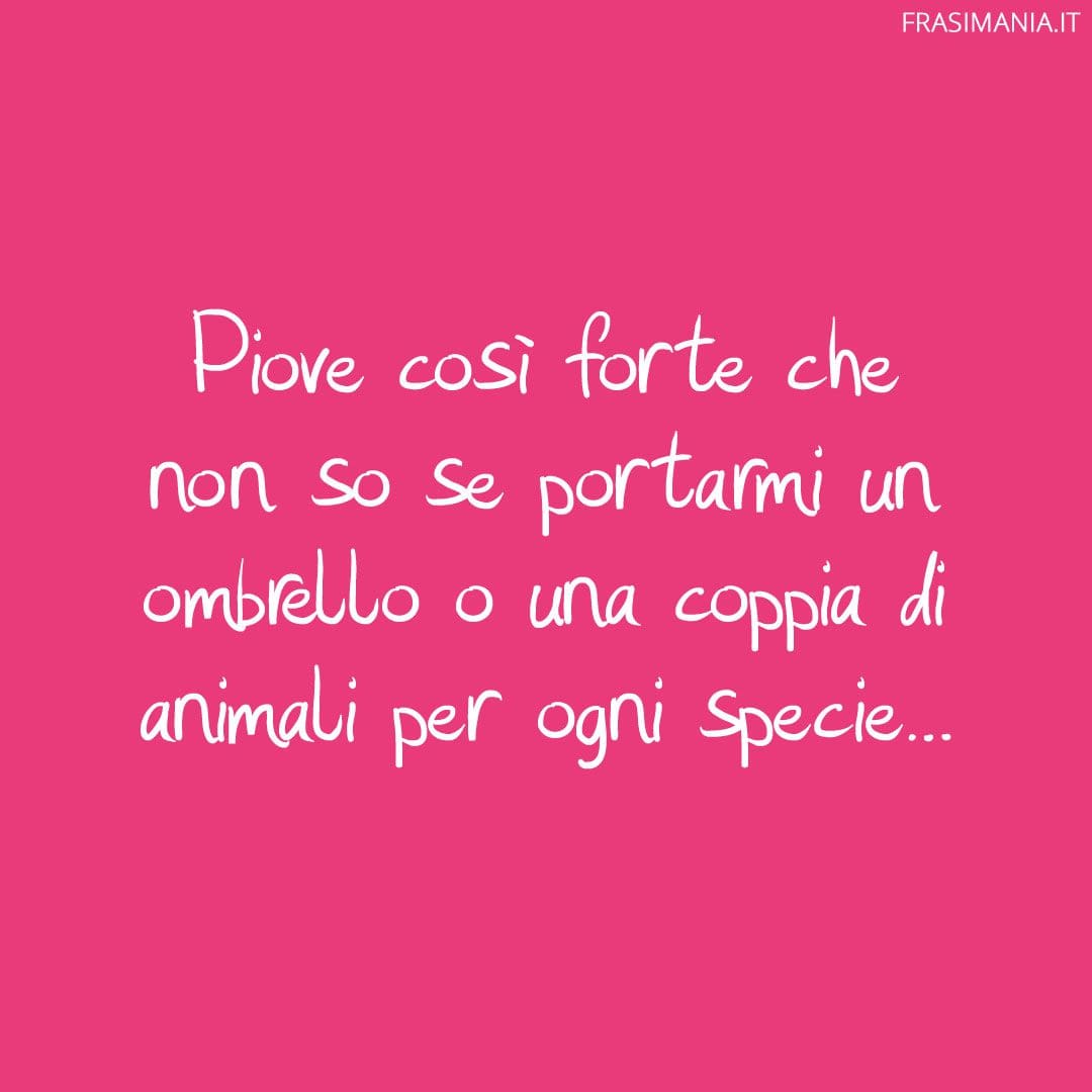 Piove così forte che non so se portarmi un ombrello o una coppia di animali per ogni specie...